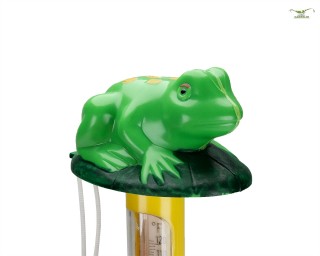 Frosch Termometer